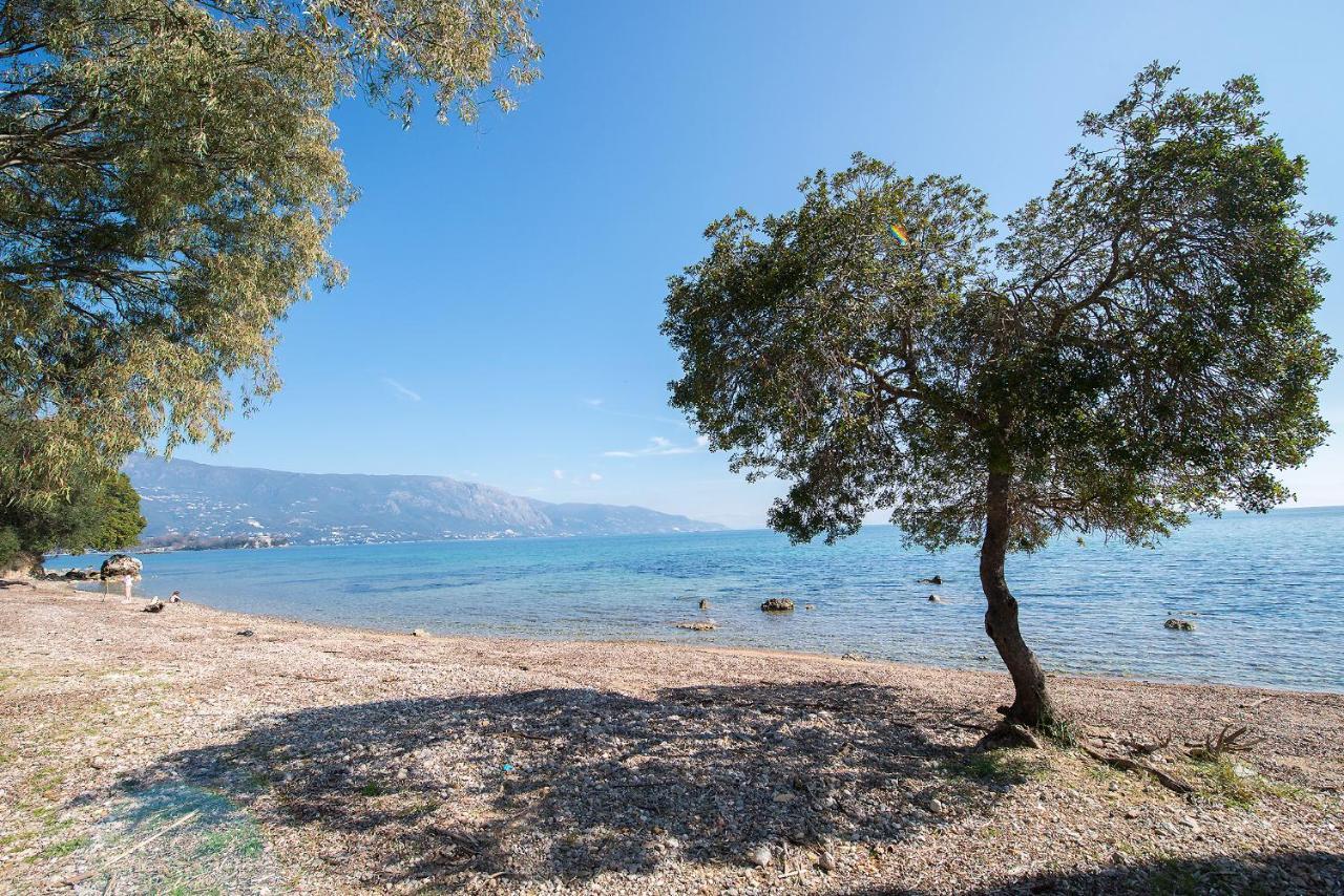 Spyrelia Villa With Private Pool & Outdoor Hot Tub Dassia  Extérieur photo